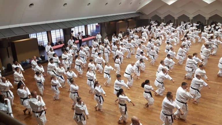 Picture of a big group of Black Belts performing the same technique in sync